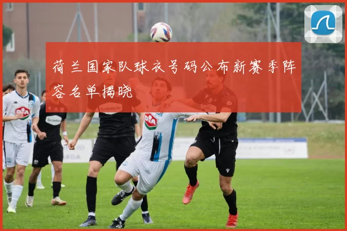 荷兰国家队球衣号码公布新赛季阵容名单揭晓