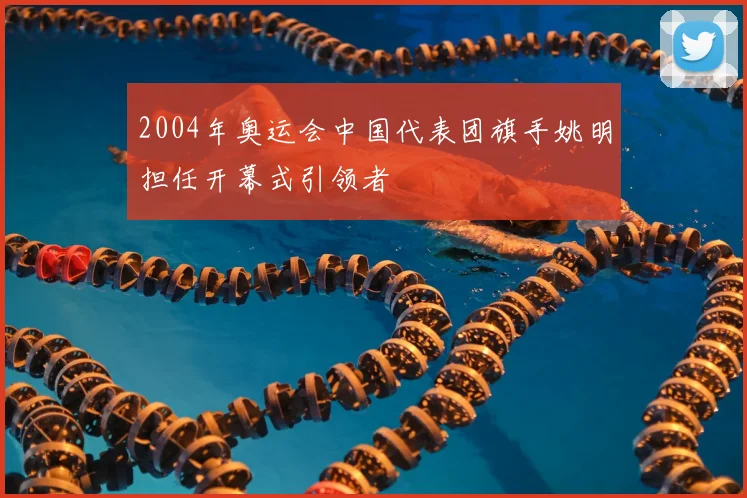 2004年奥运会中国代表团旗手姚明担任开幕式引领者