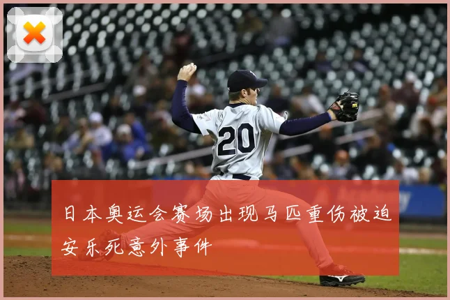 日本奥运会赛场出现马匹重伤被迫安乐死意外事件